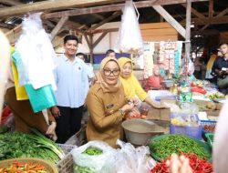 H-10 Lebaran, Bupati Lamtim Ela Siti Nuryamah Cek Harga Sembako di Pasar Sukadana: Stok Aman, Harga Relatif Stabil