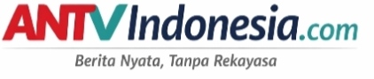 Antvindonesia.com