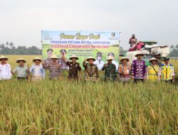 Panen Raya Petani Mitra Adhyaksa, Bukti Sinergi Kejaksaan dan Pemkab Lampung Timur Perkuat Ketahanan Pangan