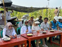 Bupati Ela Tinjau Program Listrik Masuk Sawah di Bumi Harja, Dorong Produktivitas Petani dan Ketahanan Pangan