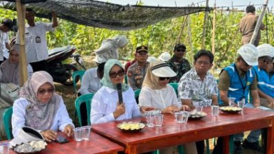 Bupati Ela Tinjau Program Listrik Masuk Sawah di Bumi Harja, Dorong Produktivitas Petani dan Ketahanan Pangan