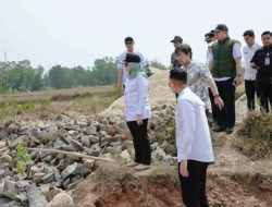 Dukung Ketahanan Pangan, Bupati Lampung Timur Ela Siti Nuryamah Tinjau Pembangunan Embung Irigasi di Desa Sidodadi